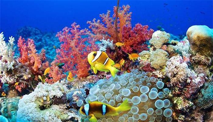 亚龙湾怎么消费?三亚亚龙湾海底世界收费标准-图3 亚龙湾怎么消费?三亚亚龙湾海底世界收费标准-图3