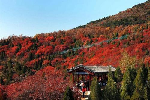北京16处赏红叶最佳地？红螺寺的停车场收费