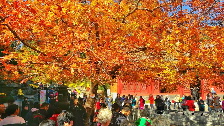 北京16处赏红叶最佳地?红螺寺的停车场收费-图2 北京16处赏红叶最佳地?红螺寺的停车场收费-图2