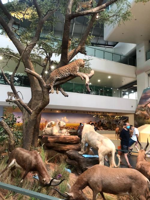 园博园自然博物馆怎么预约？武汉园博园自然博物馆要收费吗