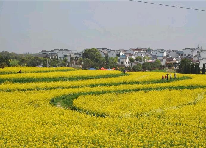 南京约不到票能去哪里?国际慢城高淳要收费么-图3 南京约不到票能去哪里?国际慢城高淳要收费么-图3