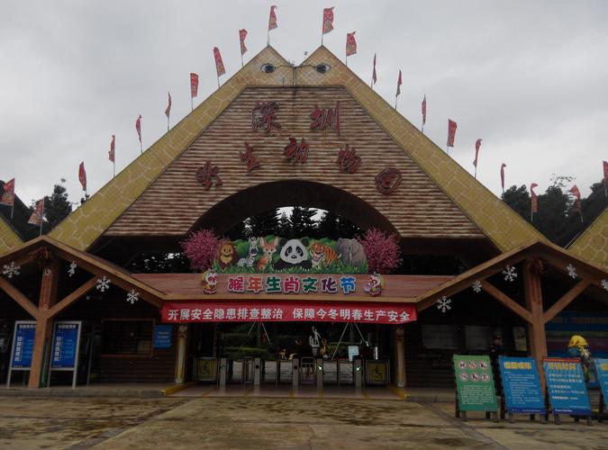 深圳野生动物园年票划算吗?深圳野生动物园除了门票还收费-图3 深圳野生动物园年票划算吗?深圳野生动物园除了门票还收费-图3