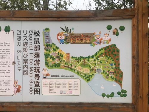松鼠部落有什么好玩的？松鼠部落里边玩的项目收费不-图2