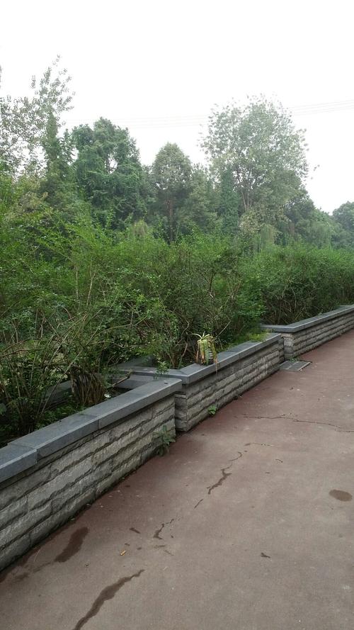 成都青羊城乡建设发展有限公司怎么样？青羊绿洲公园收费吗