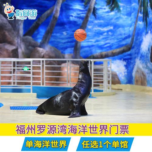 国庆罗源湾海洋世界人多吗?罗源游艇俱乐部 收费-图3 国庆罗源湾海洋世界人多吗?罗源游艇俱乐部 收费-图3