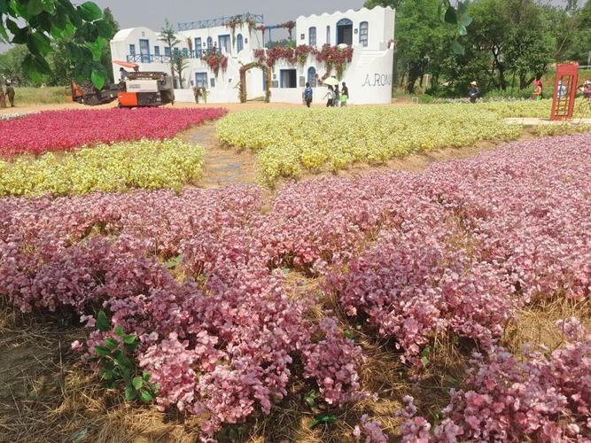 100元武汉旅游年卡有哪些地方?木兰花海乐园里面项目怎么收费-图3 100元武汉旅游年卡有哪些地方?木兰花海乐园里面项目怎么收费-图3