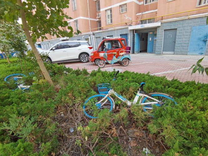 林州市哪里能免费上牌电动车?济宁南池公园收费-图3 林州市哪里能免费上牌电动车?济宁南池公园收费-图3