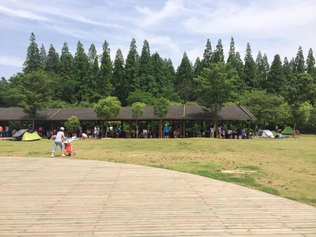上海哪里有可以烧烤的公园？崇明东平森林公园项目收费