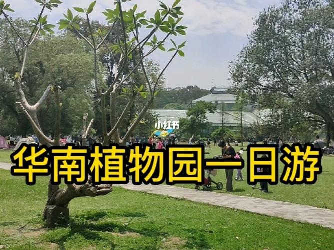 华南植物园停车场怎么样?广州华南植物园停车场收费标准-图3 华南植物园停车场怎么样?广州华南植物园停车场收费标准-图3
