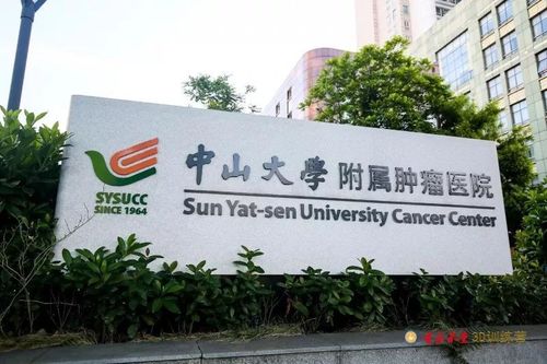 中大肿瘤医院私立还是公立医院?中山大学附属肿瘤医院停车收费多少钱-图2 中大肿瘤医院私立还是公立医院?中山大学附属肿瘤医院停车收费多少钱-图2