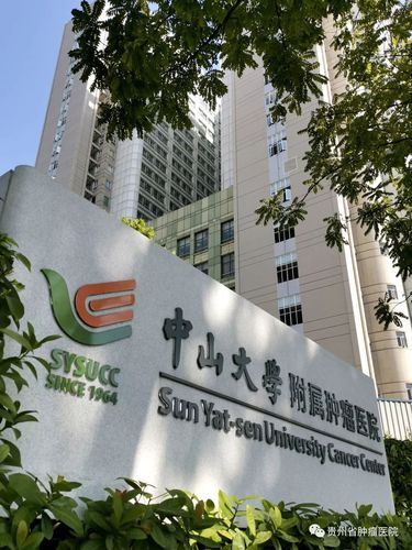 中大肿瘤医院私立还是公立医院?中山大学附属肿瘤医院停车收费多少钱-图3 中大肿瘤医院私立还是公立医院?中山大学附属肿瘤医院停车收费多少钱-图3