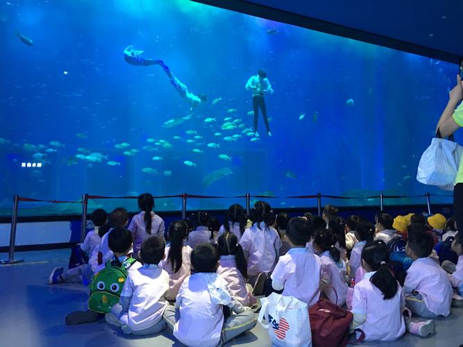 1岁的小孩可以去极地海洋公园吗？极地海洋世界儿童收费吗
