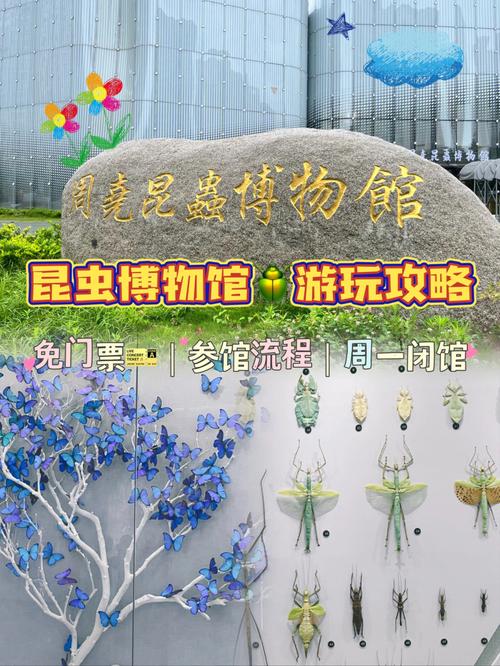 周尧昆虫博物馆怎么停车?紫荆山宾馆停车收费-图2 周尧昆虫博物馆怎么停车?紫荆山宾馆停车收费-图2