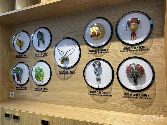 周尧昆虫博物馆怎么停车?紫荆山宾馆停车收费-图3 周尧昆虫博物馆怎么停车?紫荆山宾馆停车收费-图3