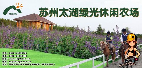 今天苏州哪里比较好玩?苏州西山太湖绿光农场收费-图2 今天苏州哪里比较好玩?苏州西山太湖绿光农场收费-图2