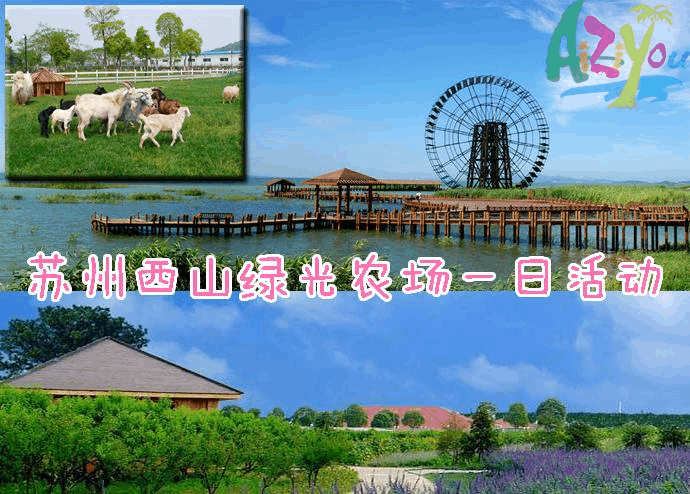 今天苏州哪里比较好玩？苏州西山太湖绿光农场收费