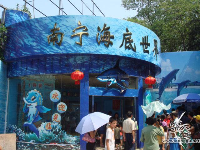 南宁海洋馆排名？南宁海底世界收费吗