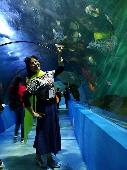 夏天南通好玩的地方?南通海底世界收费-图3 夏天南通好玩的地方?南通海底世界收费-图3
