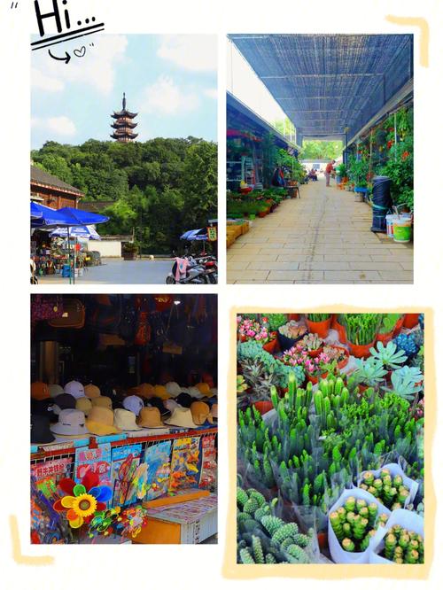 绍兴塔山花鸟市场营业时间？塔山游乐园收费