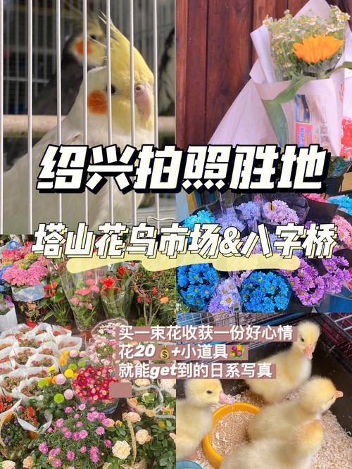 绍兴塔山花鸟市场营业时间?塔山游乐园收费-图2 绍兴塔山花鸟市场营业时间?塔山游乐园收费-图2
