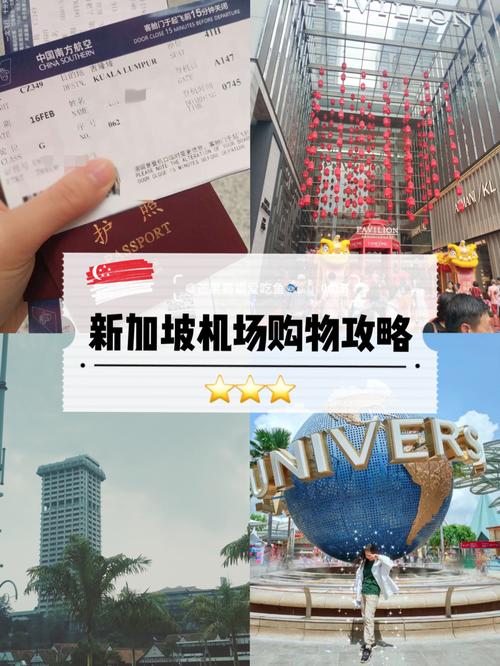新加坡飞机场收费标准?新加坡旅游收费-图2 新加坡飞机场收费标准?新加坡旅游收费-图2