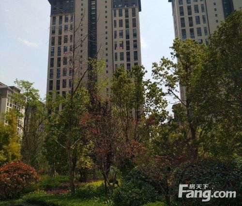 星湾俊园和澜湾俊园哪个好南京江宁水晶蓝湾 停车收费
