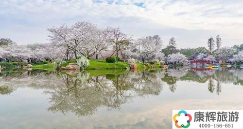 东湖樱花园几点关园?东湖樱花园收费-图2 东湖樱花园几点关园?东湖樱花园收费-图2