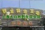 上海昆虫馆要身份证吗?上海大自然野生昆虫馆停车收费-图2 上海昆虫馆要身份证吗?上海大自然野生昆虫馆停车收费-图2