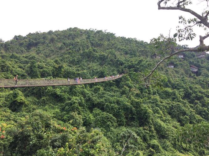 亚龙湾森林公园可以寄存行李?亚龙湾森林公园寄存收费没-图2 亚龙湾森林公园可以寄存行李?亚龙湾森林公园寄存收费没-图2