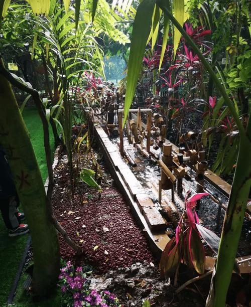 北京有热带雨林的公园吗？呀路古热带植物园停车收费吗