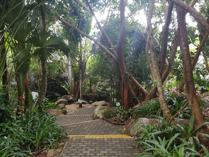北京有热带雨林的公园吗?呀路古热带植物园停车收费吗-图2 北京有热带雨林的公园吗?呀路古热带植物园停车收费吗-图2