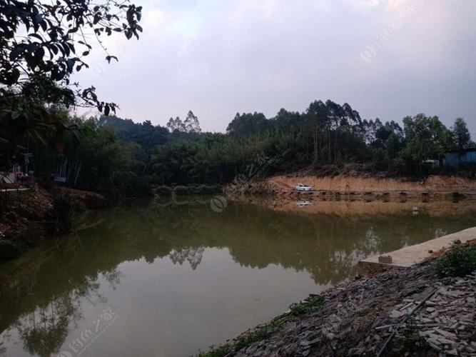 南宁水库钓鱼排行?南宁收费钓鱼水库-图3 南宁水库钓鱼排行?南宁收费钓鱼水库-图3