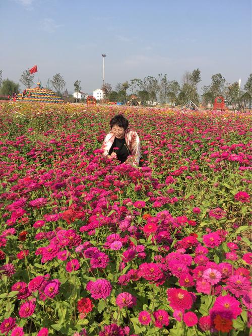 深圳桃源附近有什么好玩的地方？枫林花海有哪些收费项目