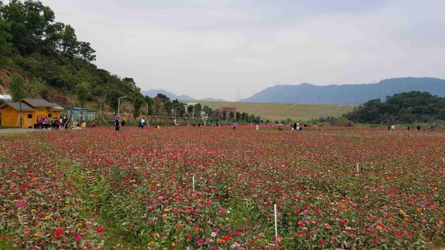 深圳桃源附近有什么好玩的地方?枫林花海有哪些收费项目-图3 深圳桃源附近有什么好玩的地方?枫林花海有哪些收费项目-图3