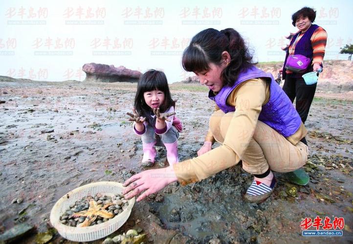 青岛挖蛤蜊最好的地方?会场村赶海园收费-图2 青岛挖蛤蜊最好的地方?会场村赶海园收费-图2
