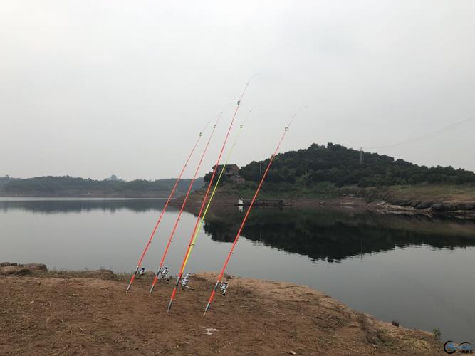 长寿湖钓鱼规则?重庆长寿湖钓鱼收费不-图2 长寿湖钓鱼规则?重庆长寿湖钓鱼收费不-图2