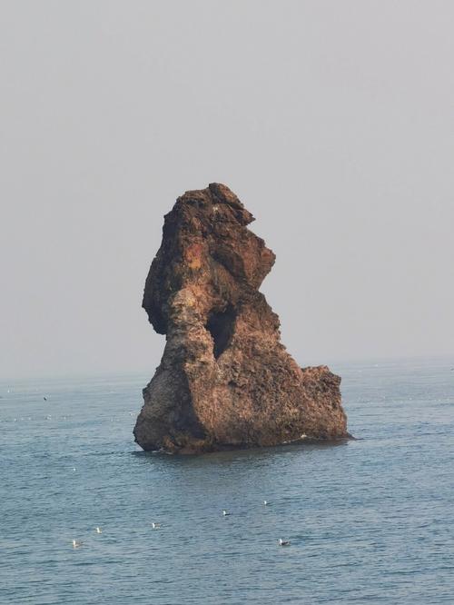 青岛老人头景区介绍?青岛石老人景区收费吗-图3 青岛老人头景区介绍?青岛石老人景区收费吗-图3