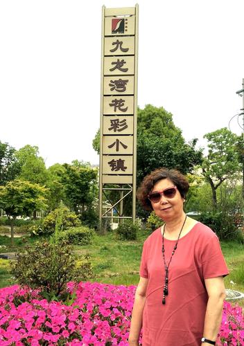 65岁免票无锡景点?九龙湾花彩小镇需要收费吗-图2 65岁免票无锡景点?九龙湾花彩小镇需要收费吗-图2