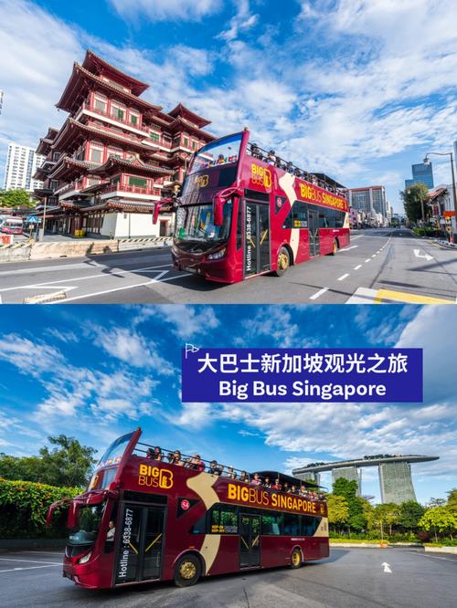 跟旅游团去新加坡收费大概是多少?新加坡公共交通收费-图3 跟旅游团去新加坡收费大概是多少?新加坡公共交通收费-图3