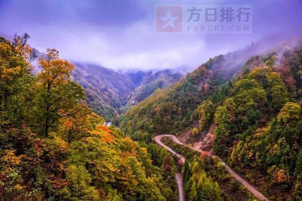 到巴中光雾山最佳时间?巴中到光雾山高速收费-图1 到巴中光雾山最佳时间?巴中到光雾山高速收费-图1