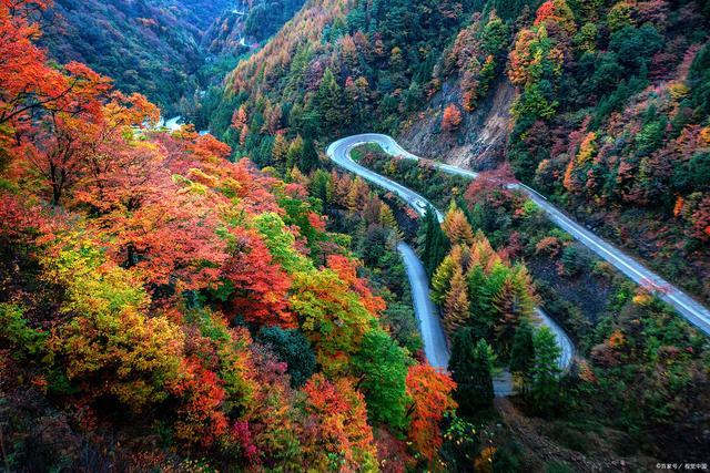 到巴中光雾山最佳时间?巴中到光雾山高速收费-图2 到巴中光雾山最佳时间?巴中到光雾山高速收费-图2