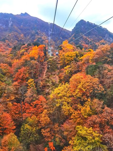 到巴中光雾山最佳时间?巴中到光雾山高速收费-图3 到巴中光雾山最佳时间?巴中到光雾山高速收费-图3