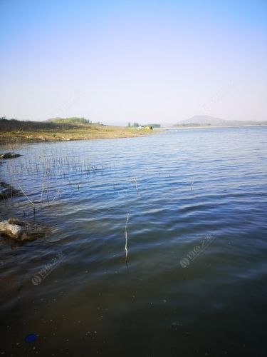 安丘水库钓鱼资源最好的是哪个?2019跋山水库钓鱼收费-图2 安丘水库钓鱼资源最好的是哪个?2019跋山水库钓鱼收费-图2