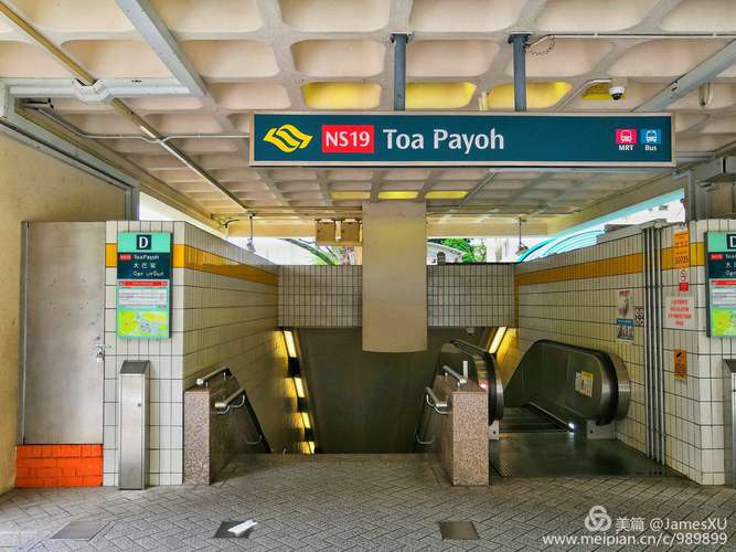 新加坡坐地铁和公交哪个便宜?新加坡地铁同站进出怎么收费-图3 新加坡坐地铁和公交哪个便宜?新加坡地铁同站进出怎么收费-图3