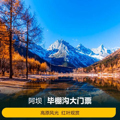 米亚罗门票是多少？毕棚沟观光车票收费-图2