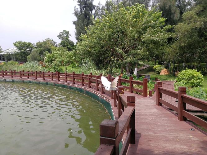 厦门夏天哪里适合带小孩去玩?五缘湾湿地公园停车场收费吗-图2 厦门夏天哪里适合带小孩去玩?五缘湾湿地公园停车场收费吗-图2