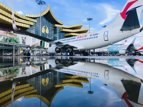 西双版纳的水果可以带上飞机吗？版纳机场行李托运收费标准-图3