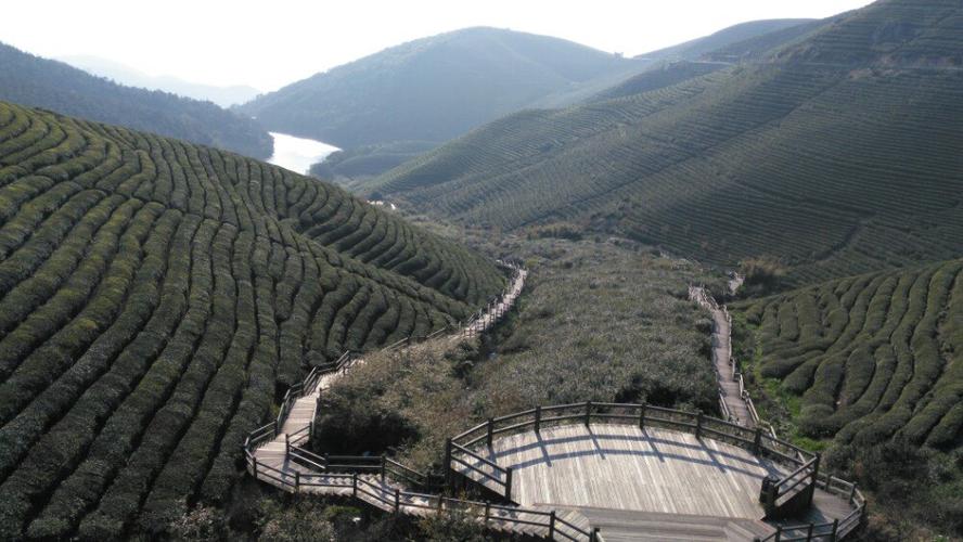 上海福泉山景区？青浦福泉山公园收费吗