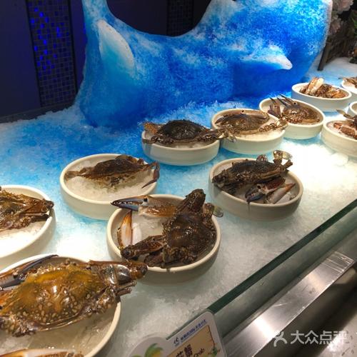 哈尔滨海鲜自助餐哪家好?道里松雷鑫海汇收费标准-图3 哈尔滨海鲜自助餐哪家好?道里松雷鑫海汇收费标准-图3