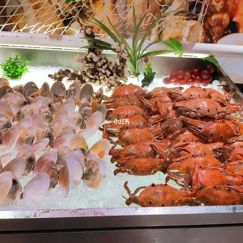 哈尔滨海鲜自助餐哪家好？道里松雷鑫海汇收费标准